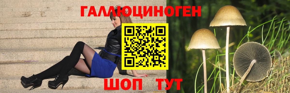 Бугуруслан  Галлюциногенные грибы MAGIC MUSHROOMS  Вход с VPN  Псилоцибиновые грибы Cubensis 